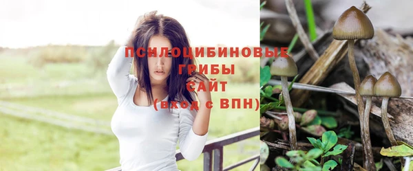 mdma Михайловск