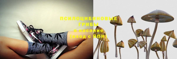 бошки Ахтубинск