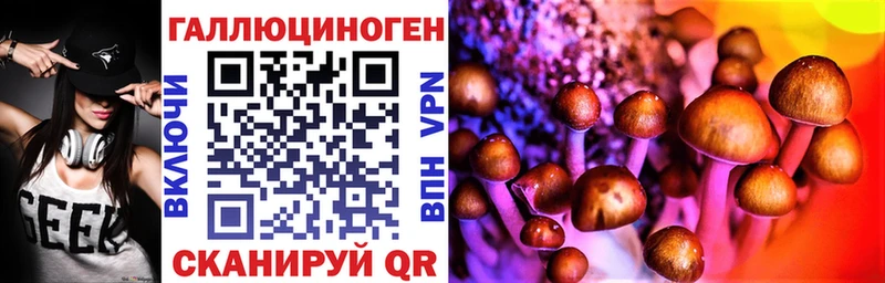 Галлюциногенные грибы Magic Shrooms  Заводоуковск 